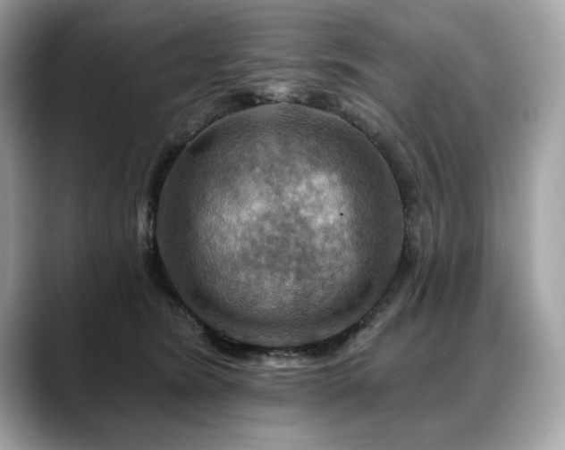 X0000088750420200705311515