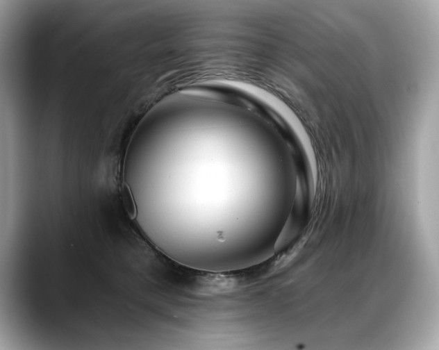X0000088750421200705311515