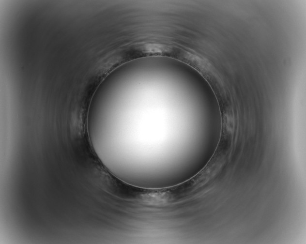X0000088750422200705311515