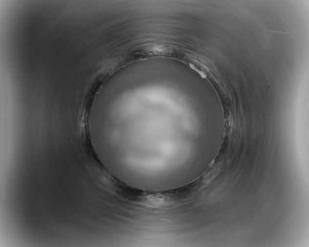 X0000088750423200705311515