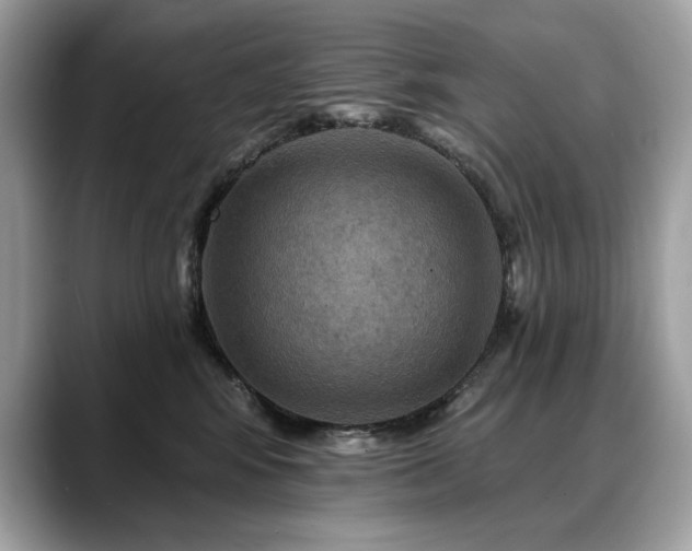 X0000088750424200705311515