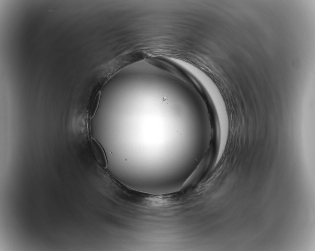 X0000088750425200705311515