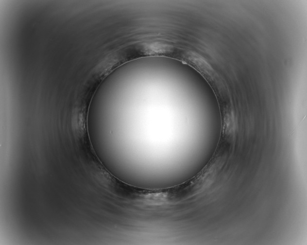 X0000088750426200705311515