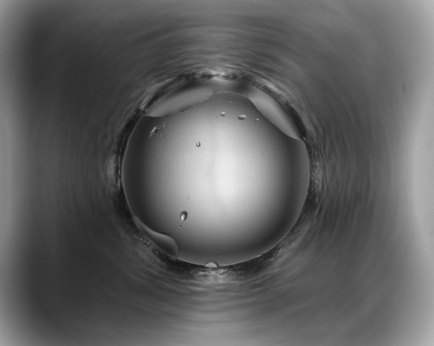 X0000088750428200705311515