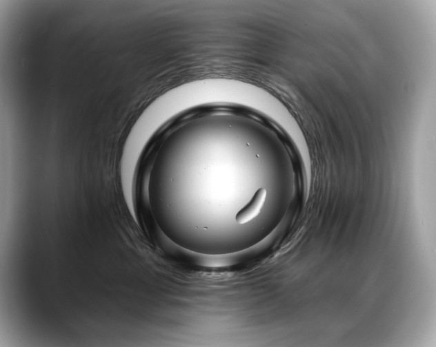 X0000088750429200705311515