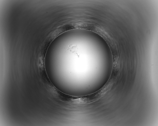 X0000088750430200705311515