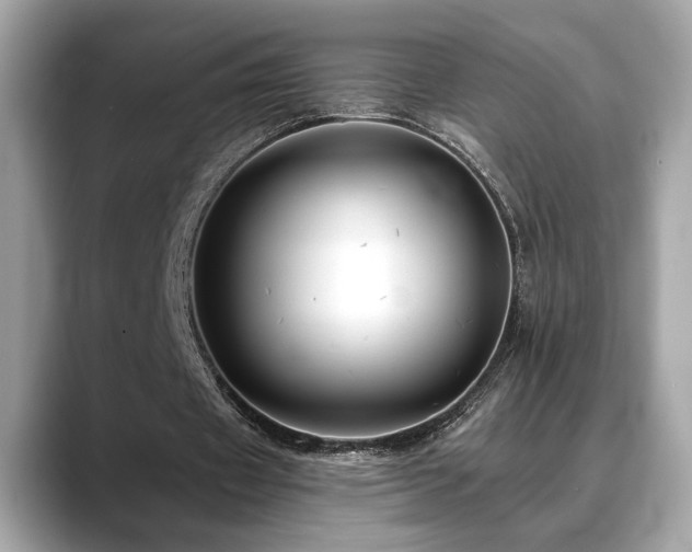 X0000088750433200705311515