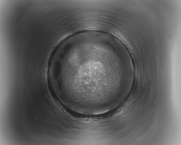 X0000088750434200705311515
