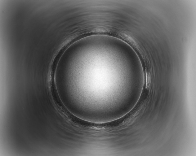 X0000088750435200705311515