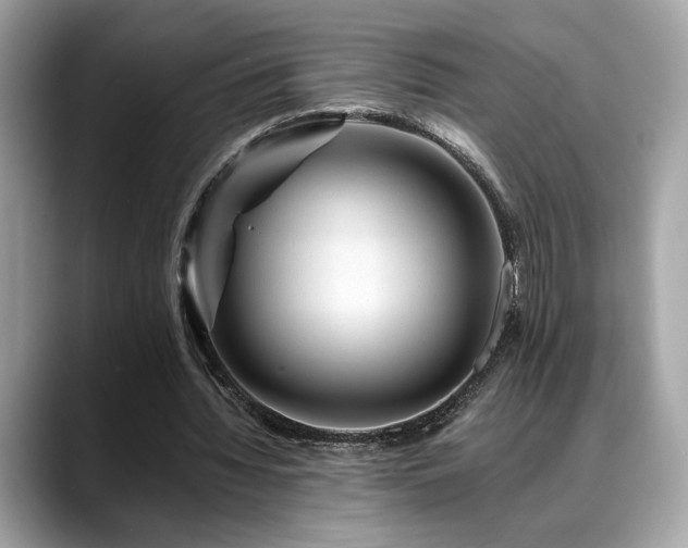 X0000088750436200705311515