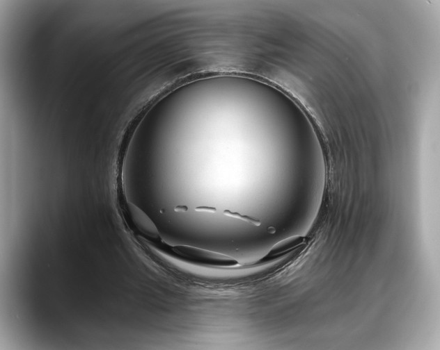 X0000088750437200705311515