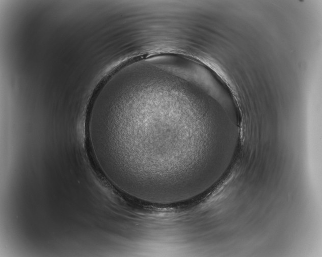 X0000088750438200705311515