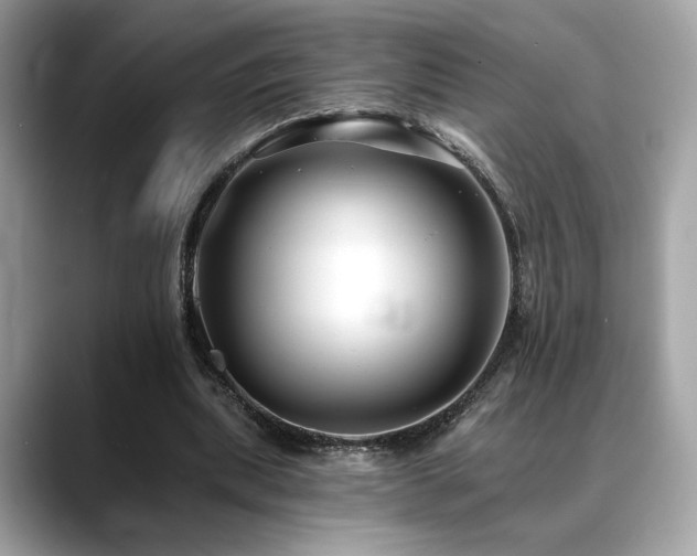 X0000088750439200705311515