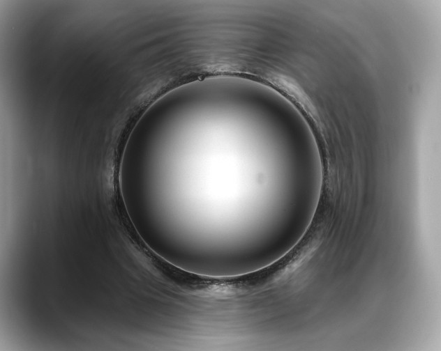 X0000088750441200705311515