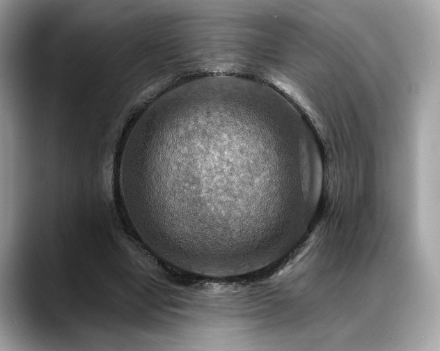 X0000088750442200705311515