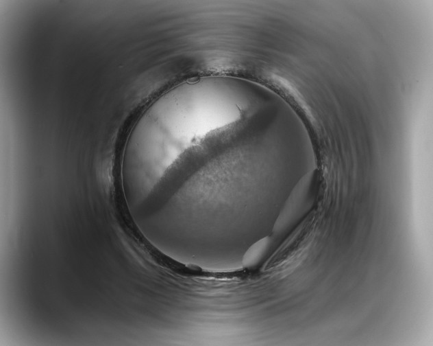 X0000088750443200705311515