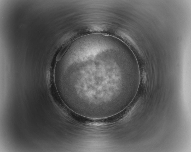 X0000088750444200705311515