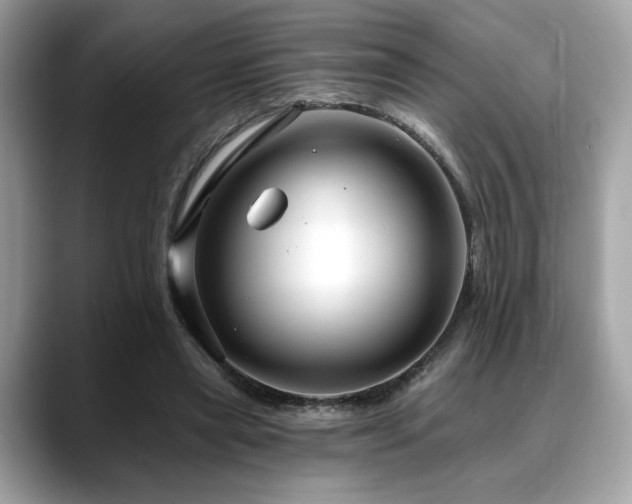 X0000088750445200705311515