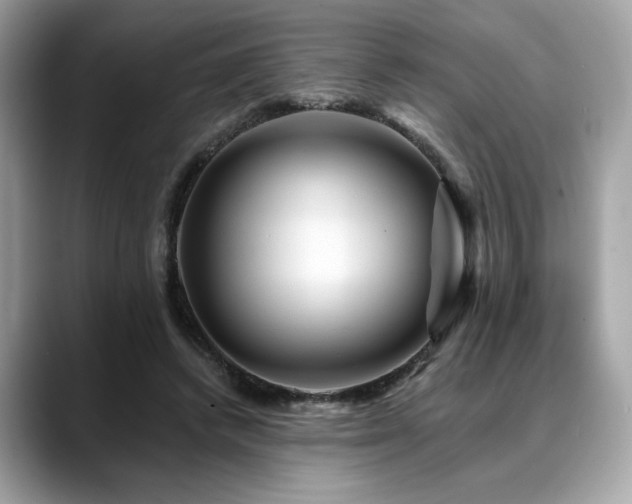 X0000088750448200705311515