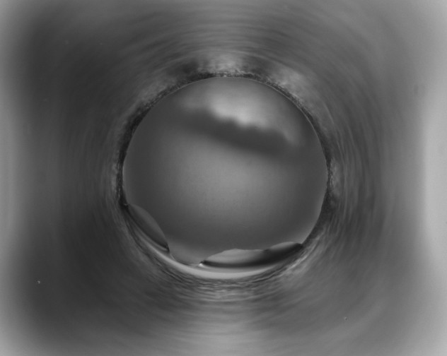 X0000088750449200705311515
