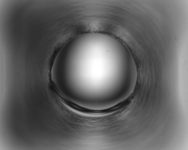 X0000088750450200705311515