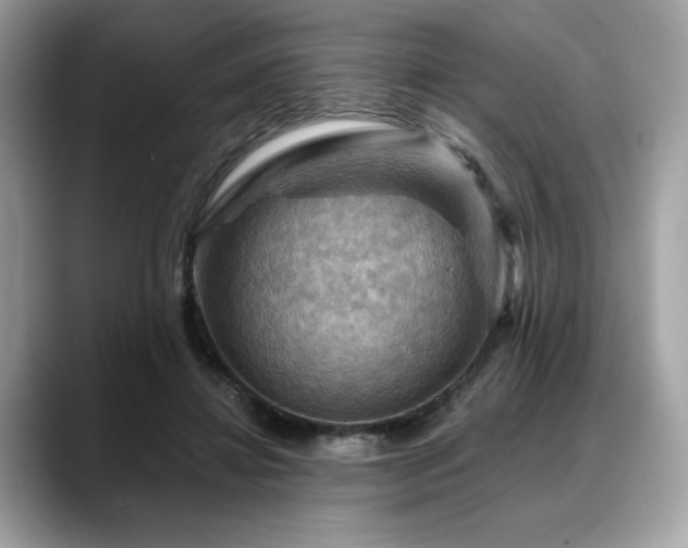 X0000088750452200705311515