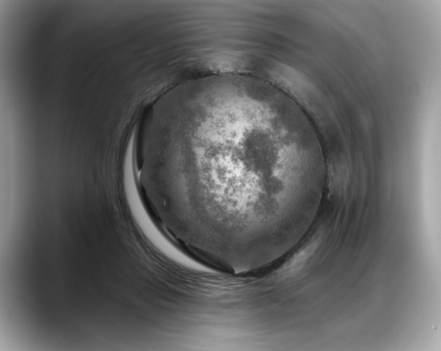 X0000088750453200705311515