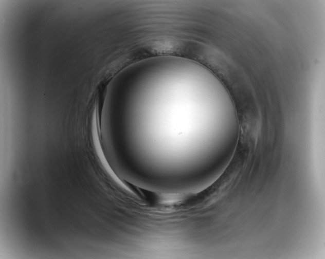 X0000088750454200705311515