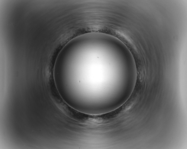 X0000088750455200705311515
