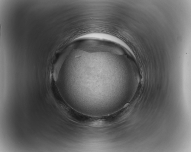X0000088750456200705311515