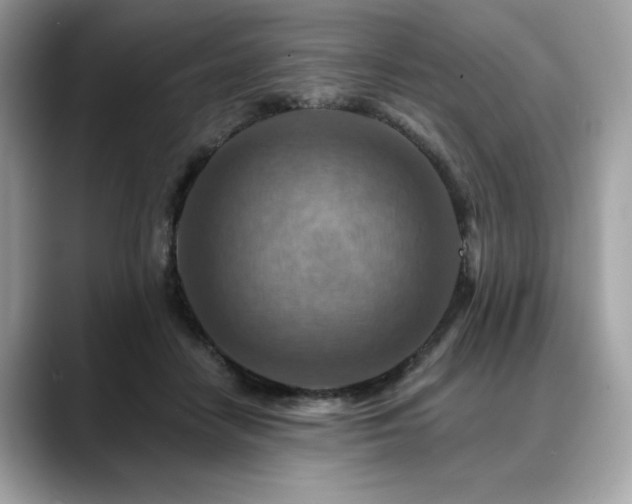 X0000088750458200705311515