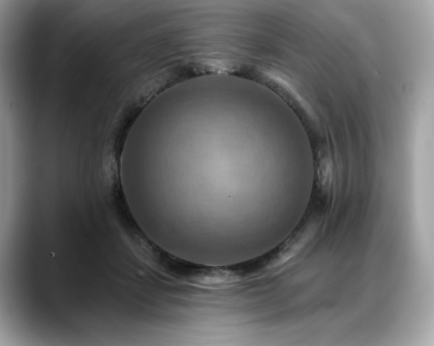 X0000088750459200705311515
