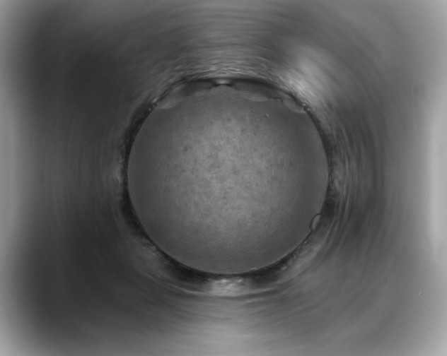 X0000088750461200705311515