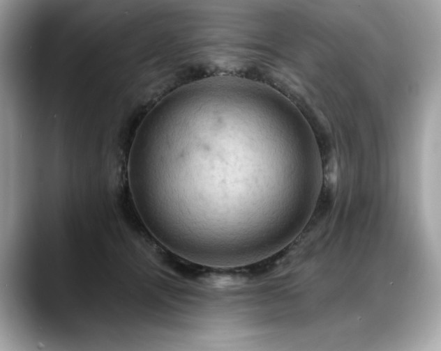 X0000088750464200705311515