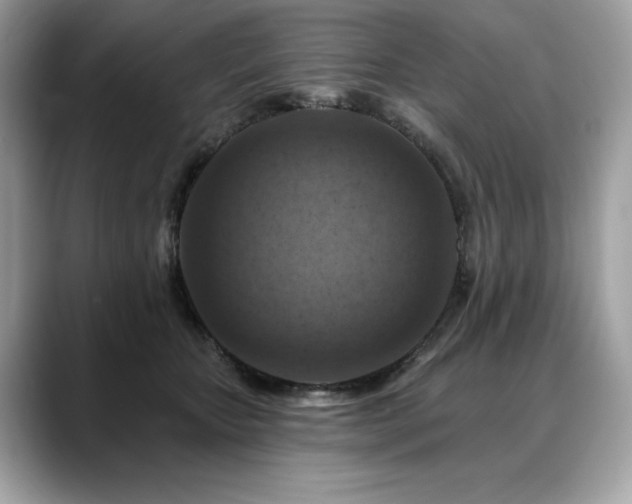 X0000088750467200705311515