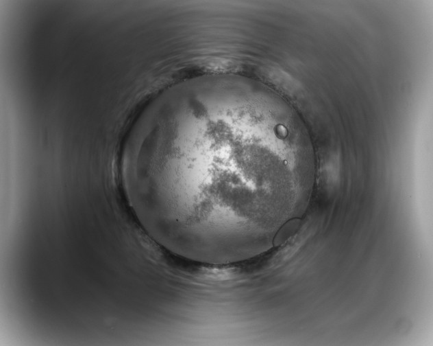 X0000088750469200705311515