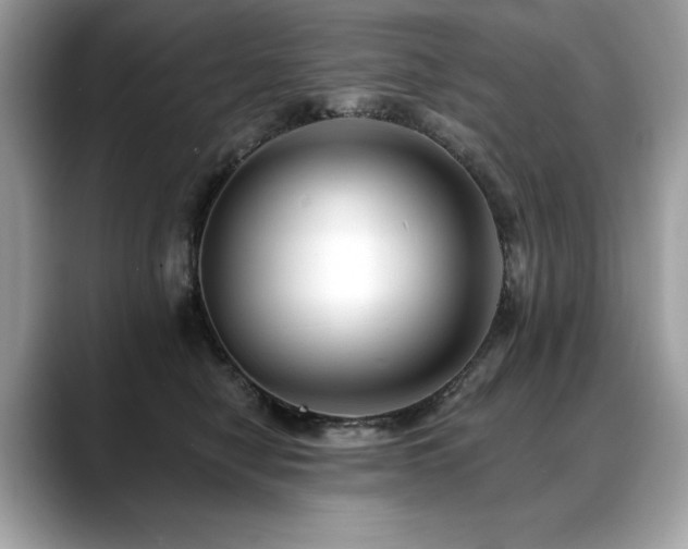 X0000088750470200705311515