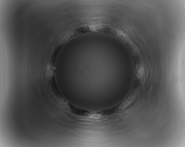 X0000088750471200705311515