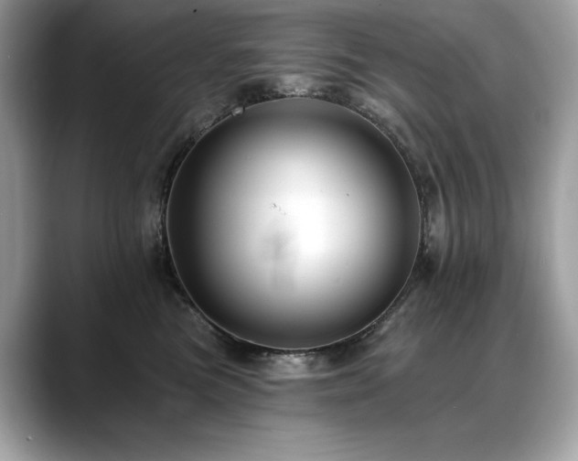 X0000088750473200705311515