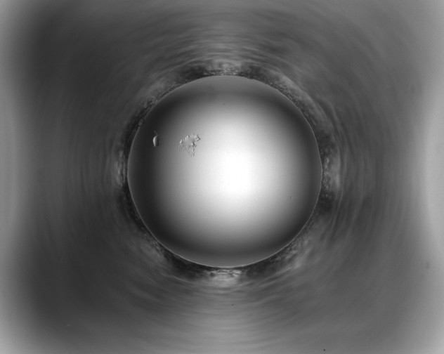 X0000088750474200705311515