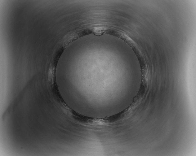 X0000088750475200705311515