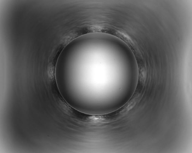 X0000088750477200705311515