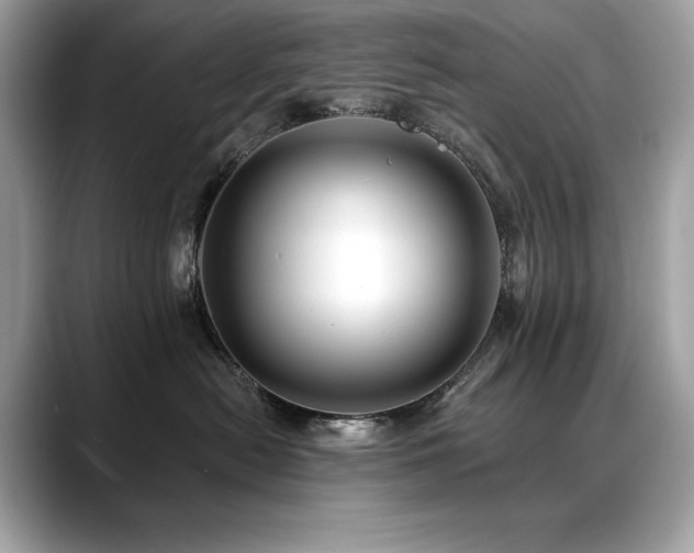 X0000088750478200705311515