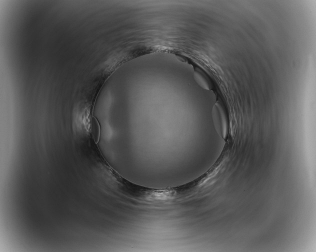 X0000088750479200705311515