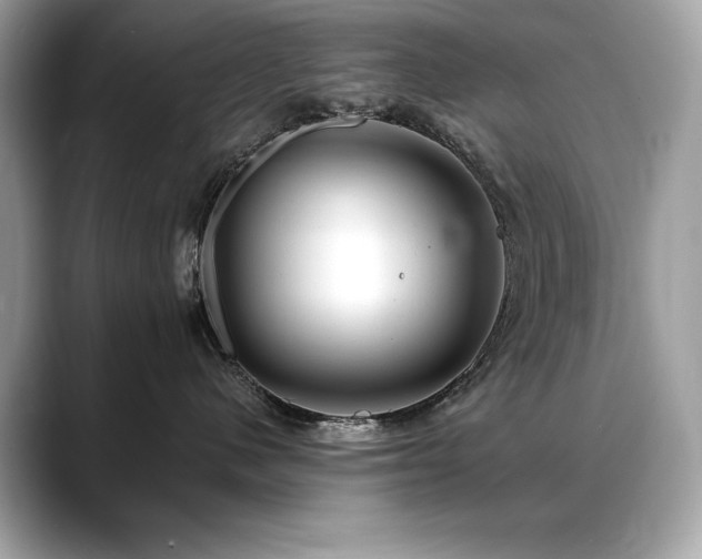 X0000088750480200705311515