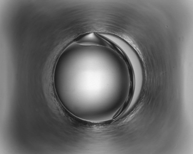 X0000088750481200705311515