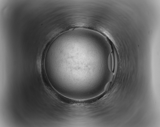 X0000088750482200705311515