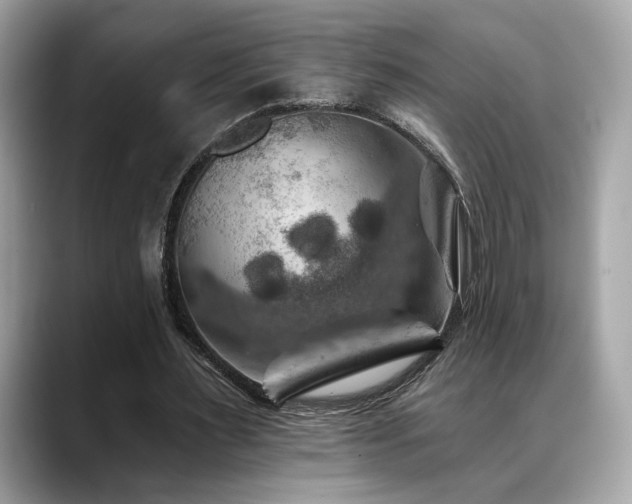 X0000088750483200705311515