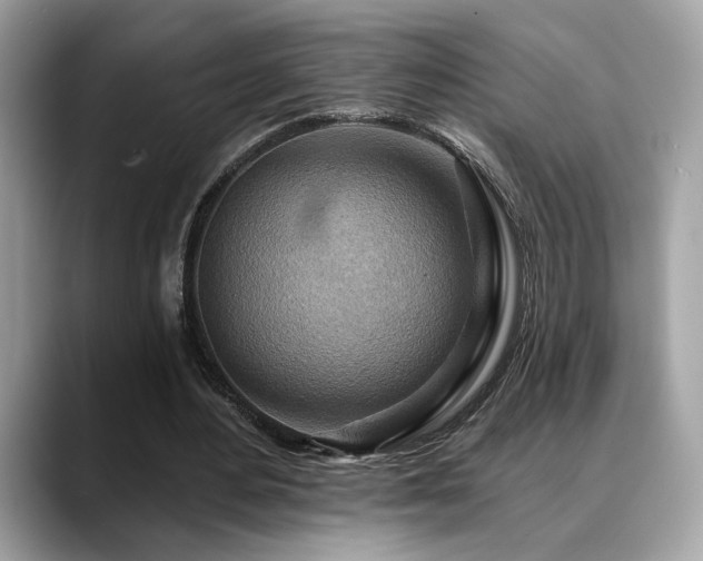 X0000088750484200705311515