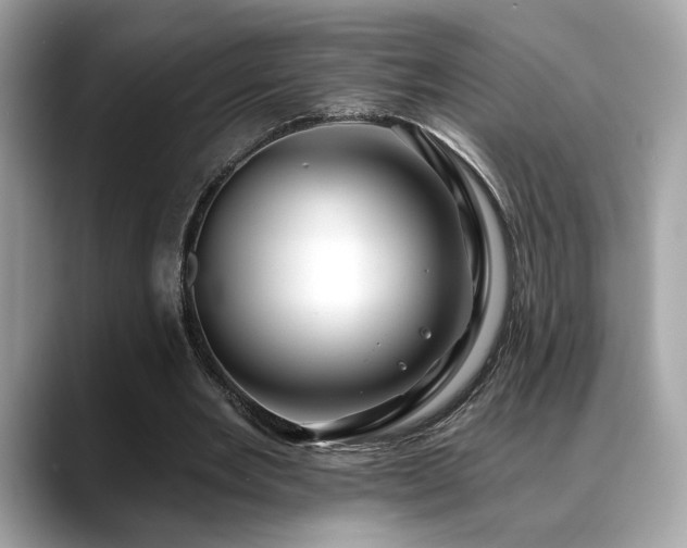 X0000088750485200705311515